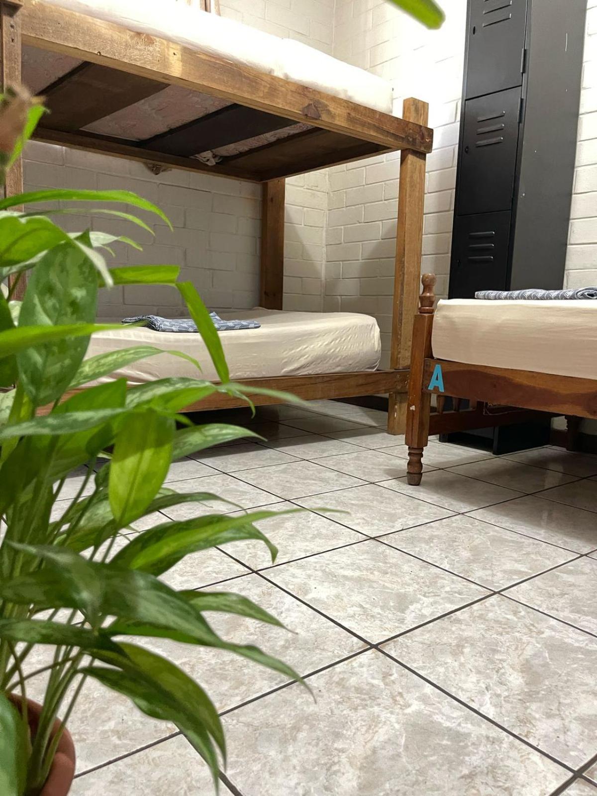 Pool House Hostel Santa Ana Buitenkant foto